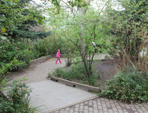 Glencoe Elementary School Rain Garden, Portland, OR