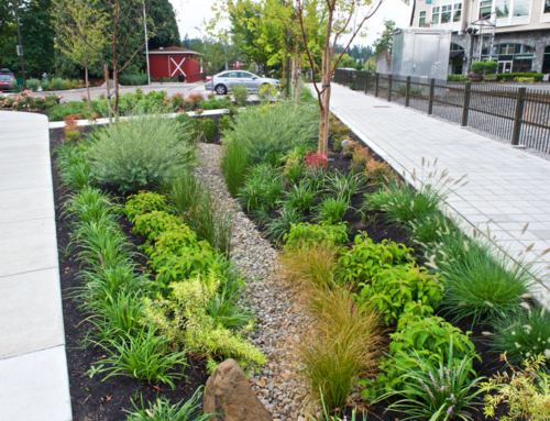 Q3 Trailhead, Lake Oswego, Oregon