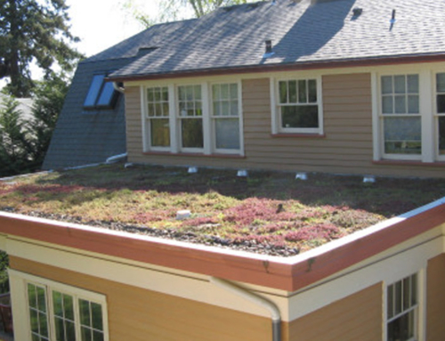 Green Roof, Portland, OR