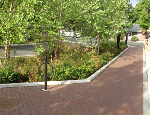 Leonard Street Improvements, Lake Oswego, OR