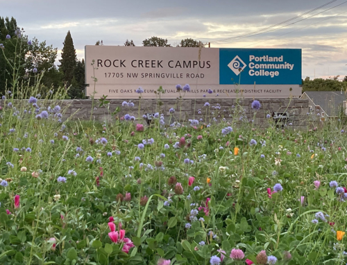 Portland Community College Rock Creek Entry